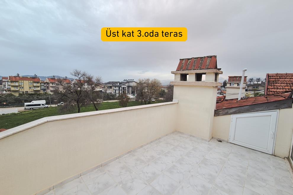 23 (Copy)