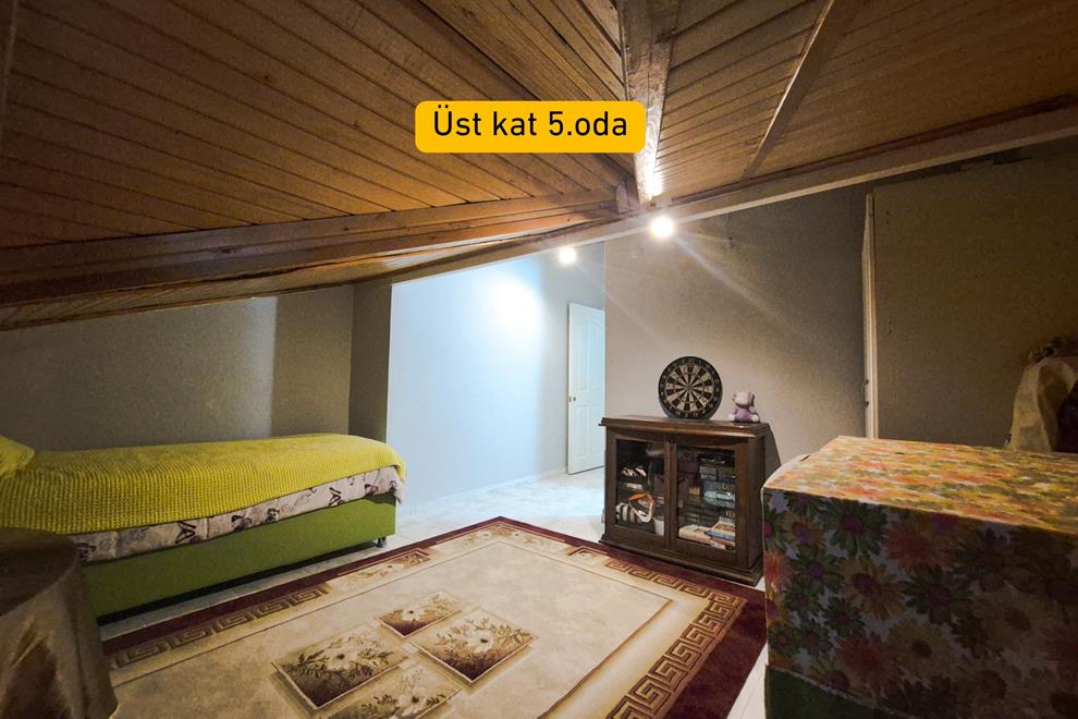29 (Copy)